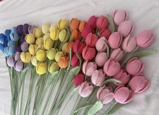 hoa tulip đủ màu